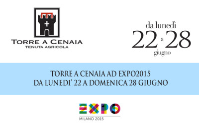 Torre a Cenaia a EXPO2015