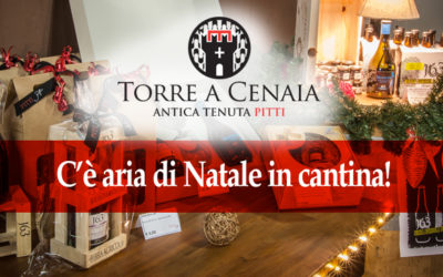 C’è aria di Natale in cantina!