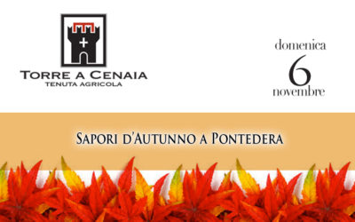 Domenica 6 Novembre – Sapori d’Autunno a Pontedera