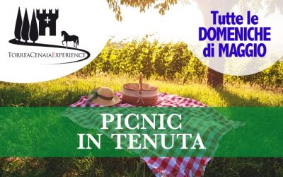 Picnic in Tenuta 2018