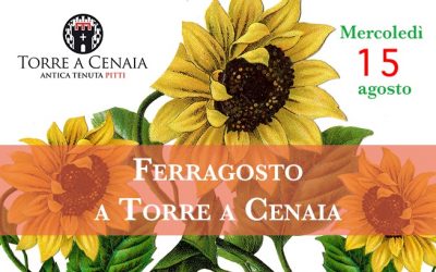Mercoledì 15 agosto 2018 – Ferragosto a Torre a Cenaia